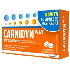 CARNIDYN PLUS 18CRP MASTICABIL